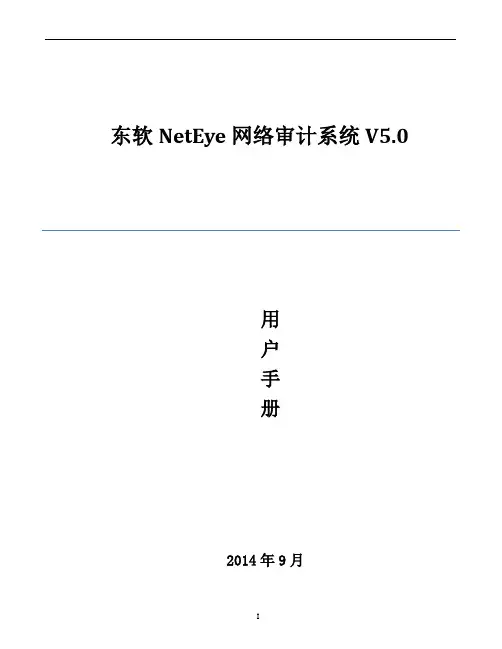 东软NetEye网络审计系统产品用户手册