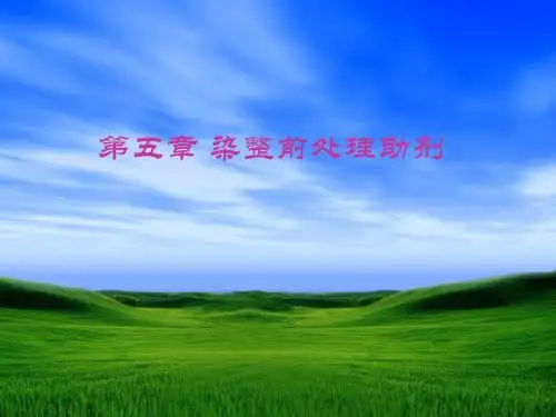 第5章 染整前处理助剂