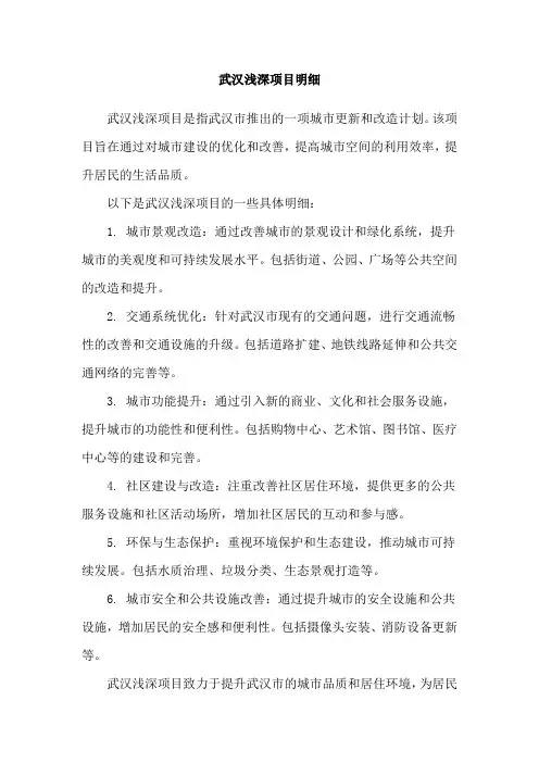 武汉浅深项目明细