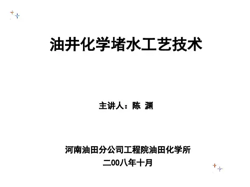 油井化学堵水技术(2008-10-12)