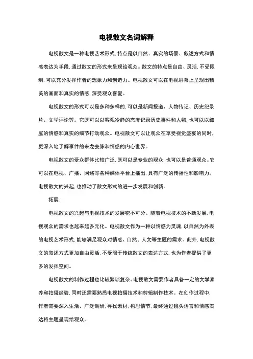 电视散文名词解释