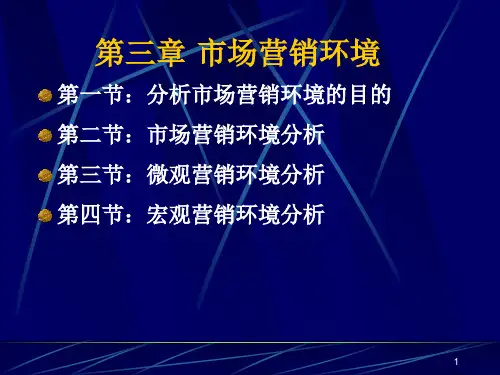 市场营销-市场营销环境ppt课件