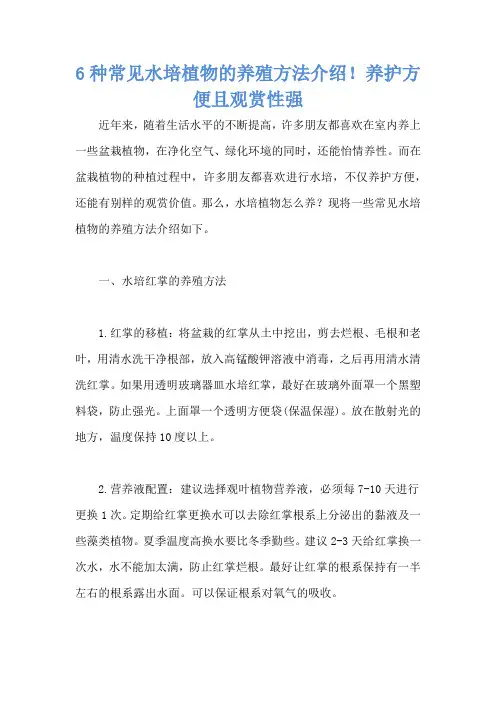 6种常见水培植物的养殖方法介绍!养护方便且观赏性强
