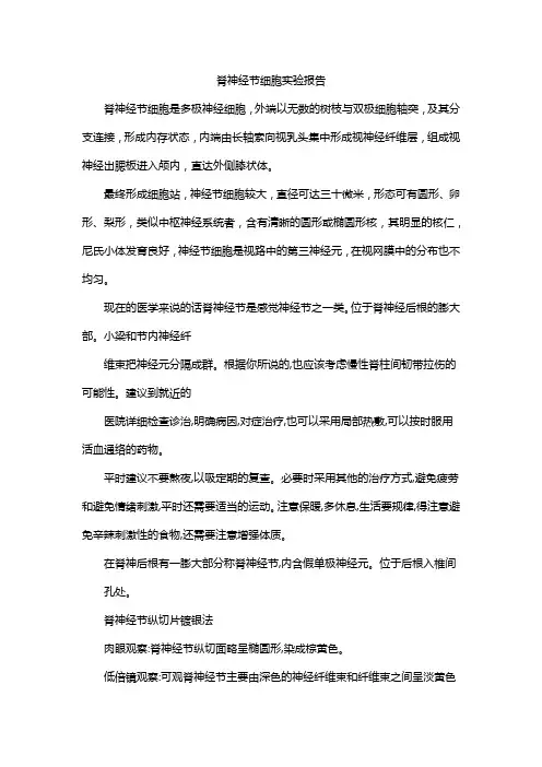 脊神经节细胞实验报告