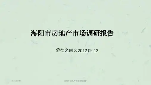 海阳市房地产市场调研报告PPT