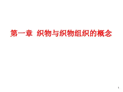 第1章织物与织物组织的概念