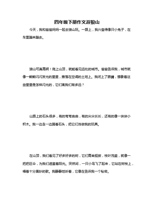 四年级下册作文游狼山