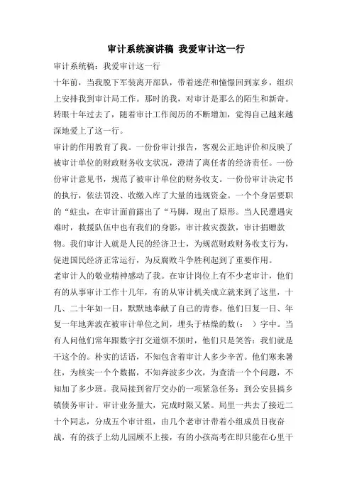审计系统演讲稿 我爱审计这一行