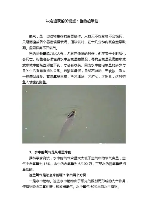 决定渔获的关键点：鱼的趋氧性！