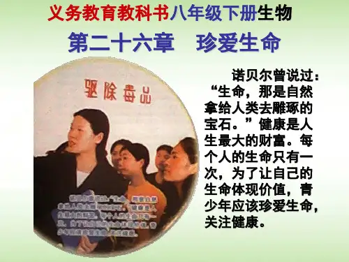 苏教版生物八下26.2《拒绝毒品》 课件(共32张PPT)