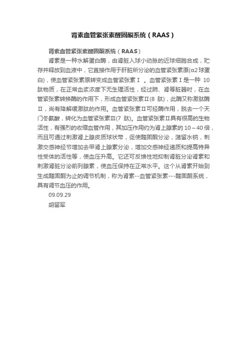 肾素血管紧张素醛固酮系统（RAAS）