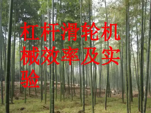 新人教版八年级物理杠杆斜面滑轮机械效率及实验复习