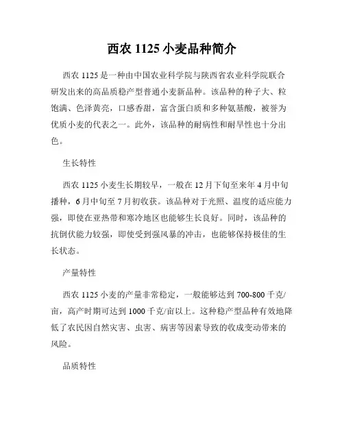西农1125小麦品种简介