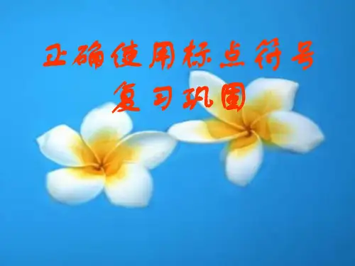 2023届高考语文复习-正确使用标点符号优秀课件32张