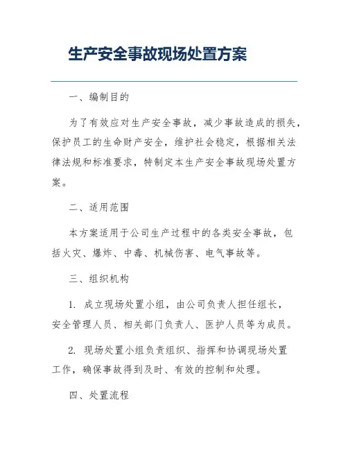 生产安全事故现场处置方案