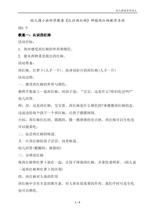 幼儿园小班科学教案《认识西红柿》种植西红柿教学活动