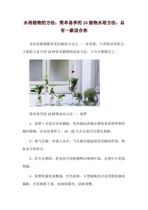 水培植物的方法：简单易学的10植物水培方法,总有一款适合你