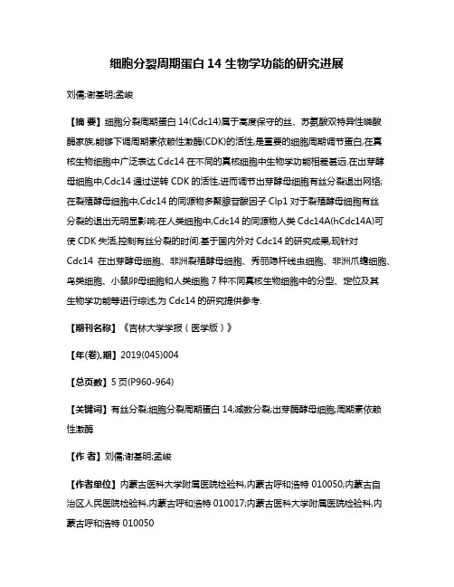 细胞分裂周期蛋白14生物学功能的研究进展