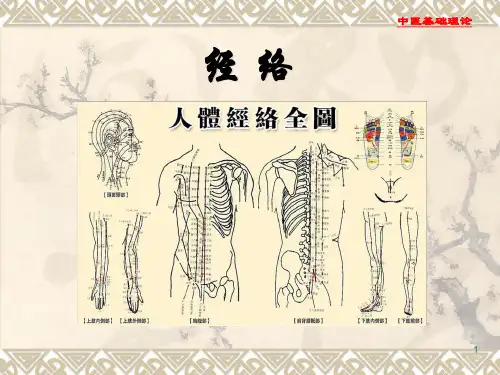 中医经络ppt课件