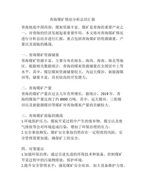 青海煤矿情况分析总结汇报