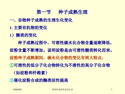植物的成熟和衰老生理培训课件