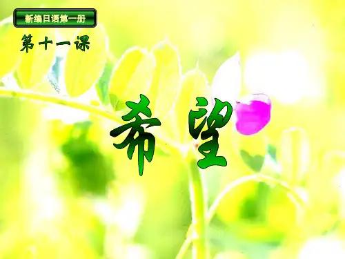 新编日本语第一册课件(第11章)