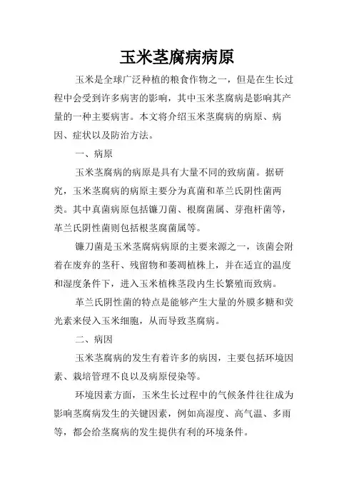 玉米茎腐病病原