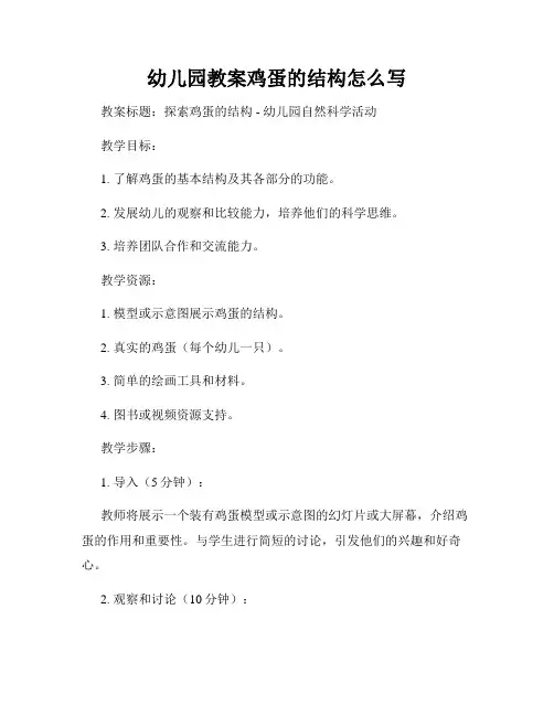 幼儿园教案鸡蛋的结构怎么写