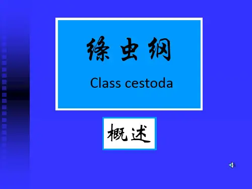 人体寄生虫学课件带绦虫