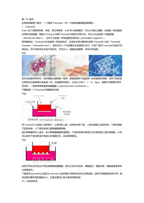 transwell实验(整理版)