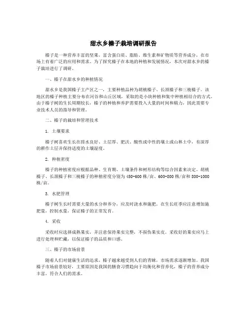 甜水乡榛子栽培调研报告