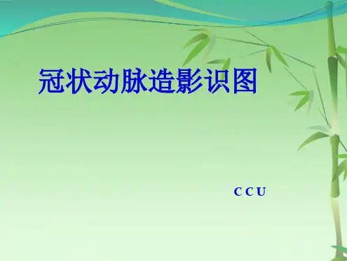 冠状动脉造影识图CCU(共60张PPT)