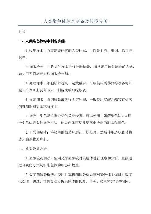 人类染色体标本制备及核型分析