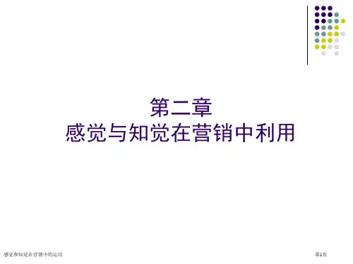 感觉和知觉在营销中的运用专家讲座