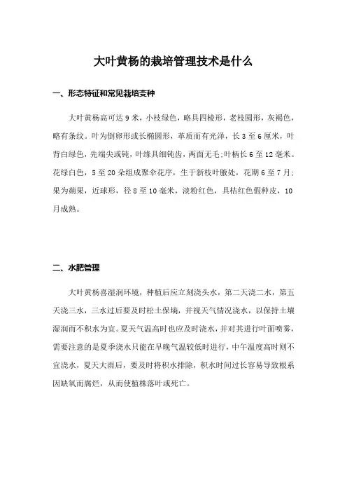 大叶黄杨的栽培管理技术是什么