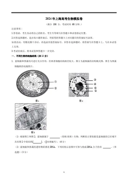 2024年上海市高考生物模拟试卷试题及答案详解