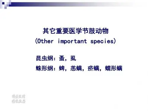 人体寄生虫PPT医学节肢动物2课件