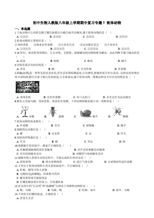 初中生物人教版八年级上学期期中复习专题5 软体动物（含解析）