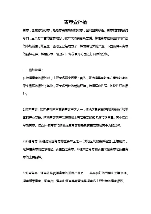 青枣宜种植