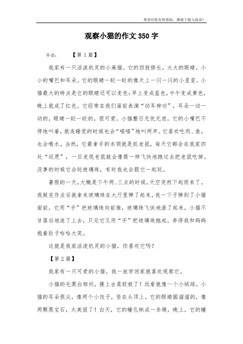 观察小猫的作文350字