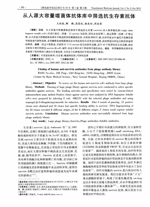 从人源大容量噬菌体抗体库中筛选抗生存素抗体