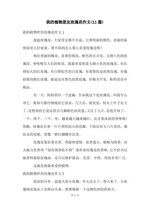 我的植物朋友玫瑰花作文(11篇)