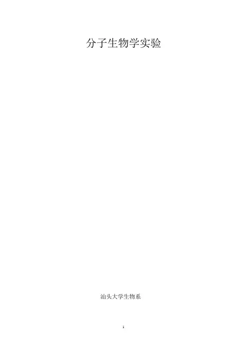 分子生物学实验教程(2012)
