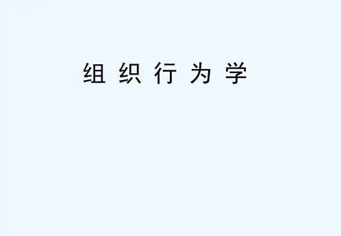 组织行为学讲义(PPT36页)