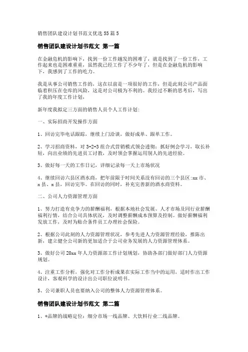 新销售团队建设计划书范文优选55篇