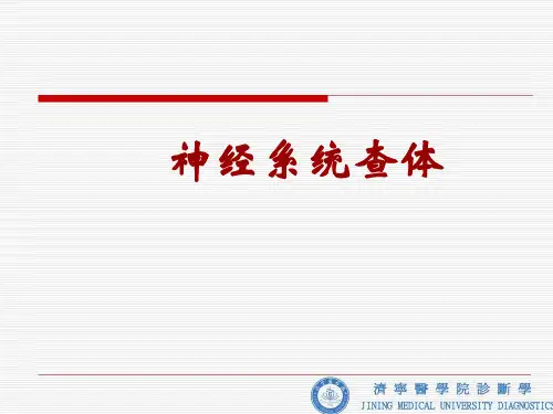 诊断学课件：第三篇 体格检查 第九章 神经系统检查