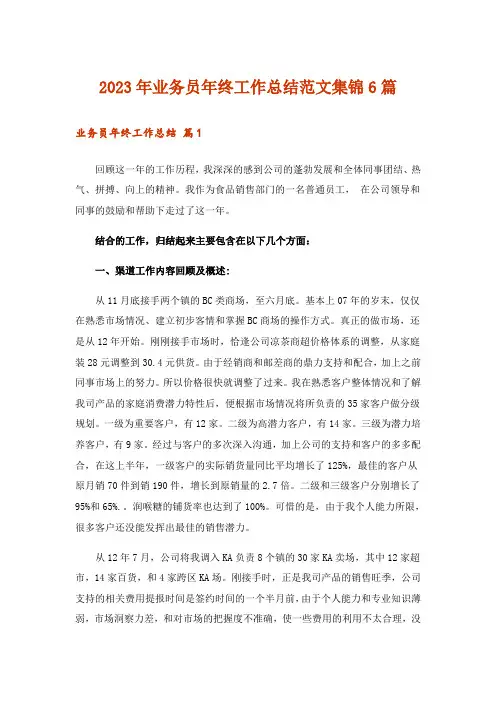 2023年业务员年终工作总结范文集锦6篇_4
