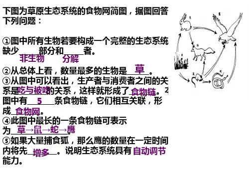 人教版七上生物识图题专项课件