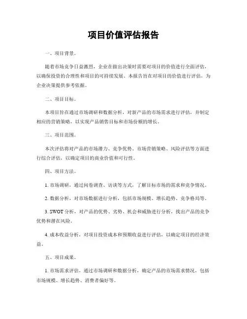 项目价值评估报告