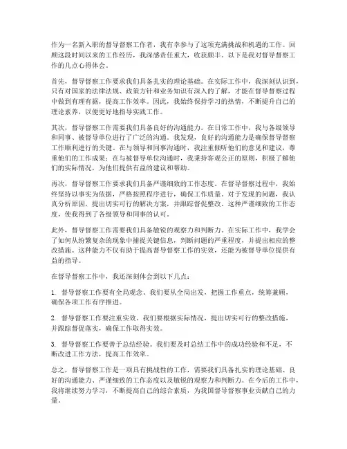 督导督察工作心得体会